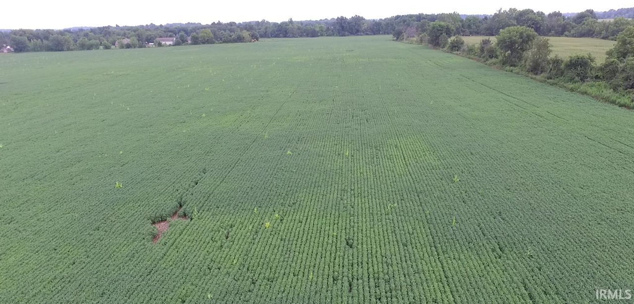 Image of S 350 West